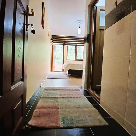 Apartment Luxury Monastery & Trabzon