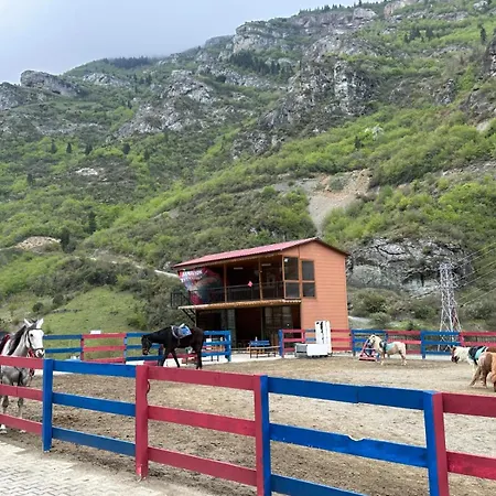 Luxury Monastery & Trabzon