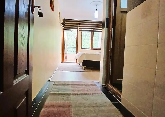 Apartment Luxury Monastery & Trabzon