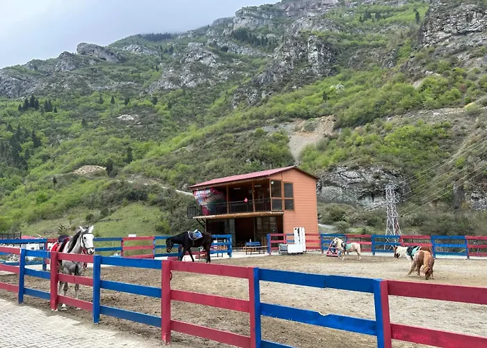 Luxury Monastery & Trabzon